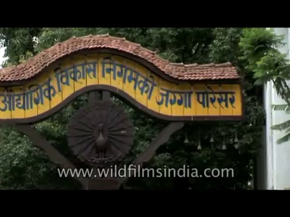 Nepal-Kathmandu-Letter box-DVD-161-31