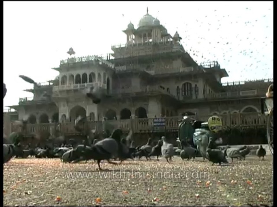 Rajasthan-jaipur-171-7