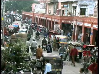 Rajasthan-jaipur-dvd-172-9