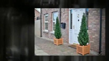 Artificial Trees Stuart FL