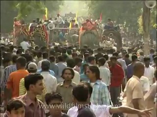 Religion-Jagannath-DVD-206-12