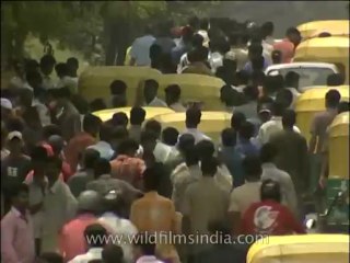 Religion-Jagannath-DVD-206-2