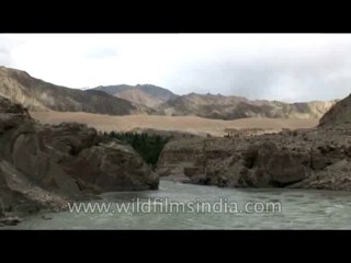 River-Ladakh-DVD-180-1