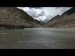 River-ladakh confluence-dvd-178-4