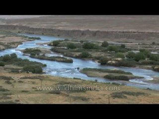 River-ladakh-dvd-178-1