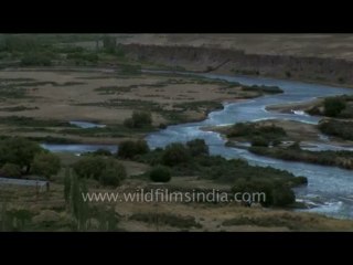 River-ladakh-dvd-178-2
