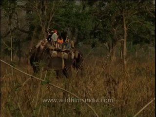 Uttaranchal-Corbett-elephants-DVD-211-1