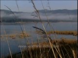 Uttaranchal-Corbett-mountains-DVD-205-1