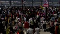 Allahabad kumbh mela-Shivratri-Shahi snan-hdc-tape-10-8