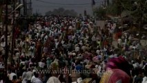 Allahabad maha kumbh mela-Shivratri-Shahi snan-hdc-tape-10-23