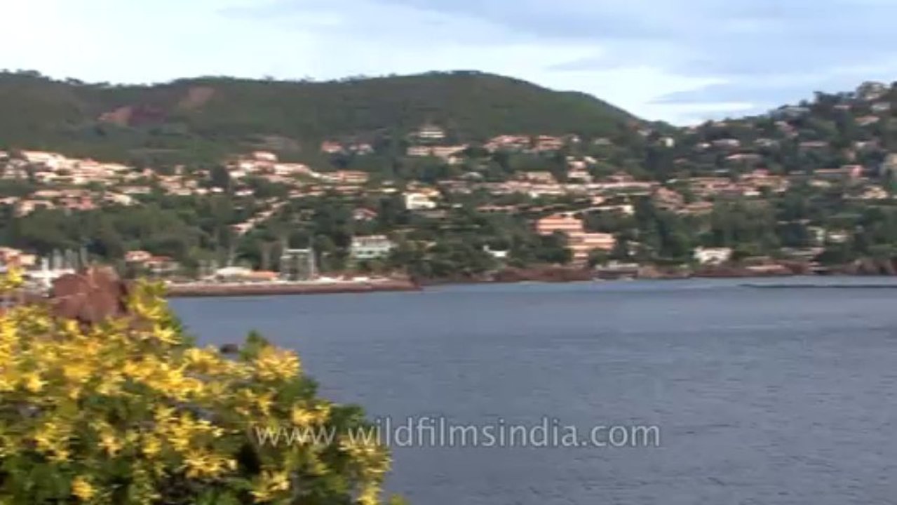 Cannes-hdv-616-16