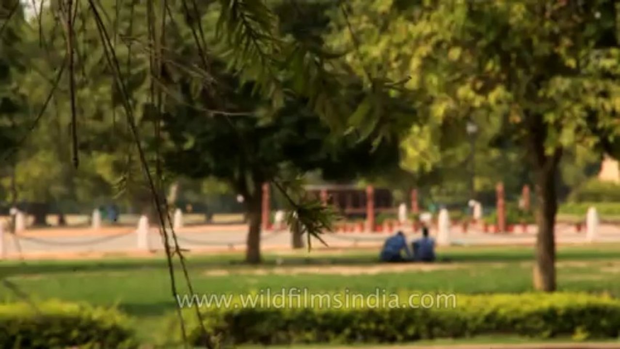 Delhi-India gate-7D camera-5