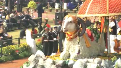 DVD-143-Delhi-Republic Day-17-5