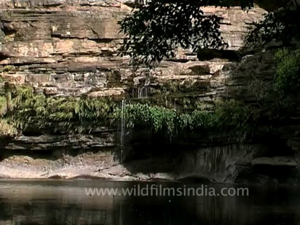 DVD-143-Landscape-Waterfall-3-1