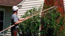 Bartow Tree Pruning, Care, Removal & Trimming Services