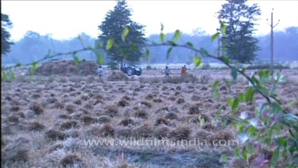 DVD-170-NE-Arunachal-9-3