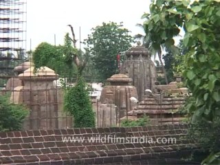 DVD-196-Orissa-Bhubaneshwara-9-3
