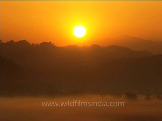 DVD-214-uttaranchal-corbett-38-1