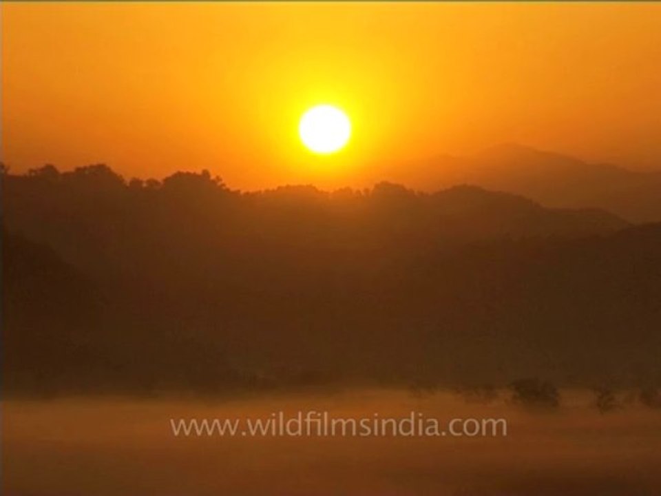 DVD-214-uttaranchal-corbett-38-1