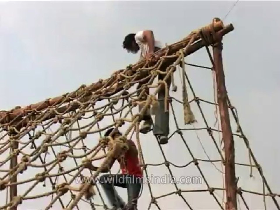 DVD-220-sports-spiderweb-4