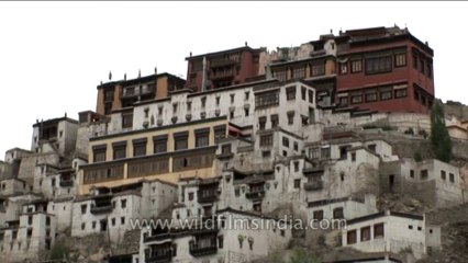 DVD-227-ladakh-thiksey-2