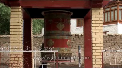 DVD-227-ladakh-thiksey-3