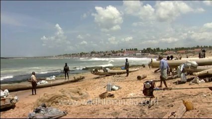 DVD-239-endeavour-fisherman-6-6