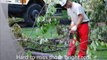 Tree Care & Lawn Care Services in PA & NJ – Slide Show