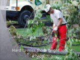 Tree Care & Lawn Care Services in PA & NJ – Slide Show