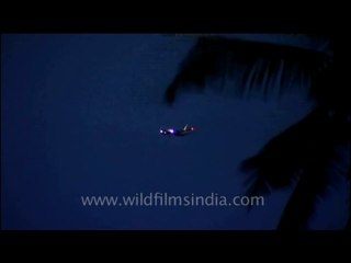 Kerala-quilon-dvd-236-4