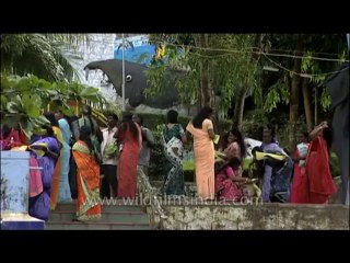Kerala-temple-waterfall-dvd-236-24