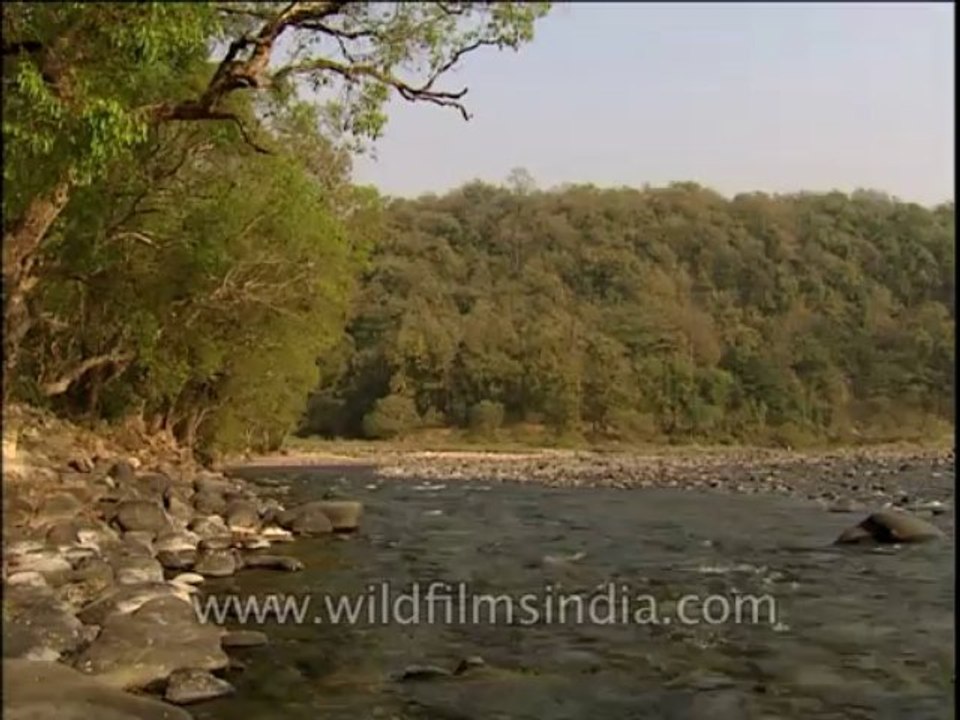 River-Ramganga-Dvd-210-1