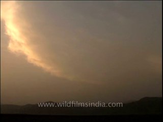 Uttaranchal-corbett-dvd-209-1