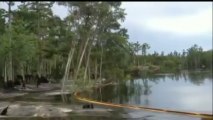 Des arbres happés par un trou géant en Louisiane