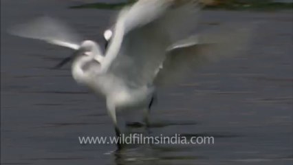 Varanasi-ghat-hdc-tape-4-9