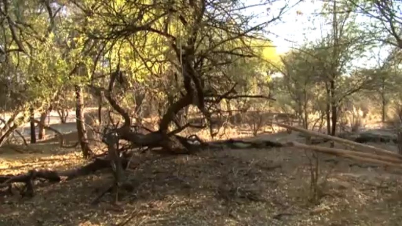 Namibia2013 - Part3