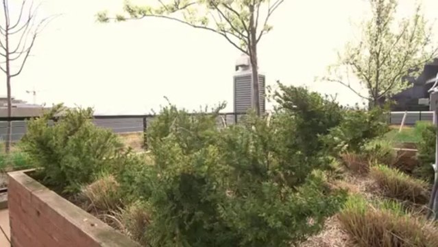 Trio Condos in Seattle