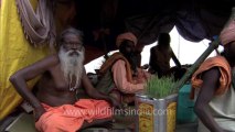 Varanasi-naga baba-juna akhada-arti-bhandara-baidyanath temple-hdc-tape-2-3