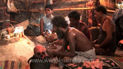 aghori-haridwar-hdv-4-7