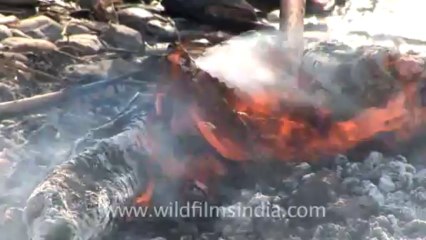 aghori-haridwar-hdv-4-4