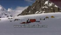 Camps placed on snow-MPEG-4 800Kbps