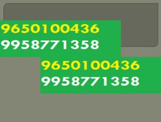 Nisha 9650100436 ElAn Sector 80 Gurgaon-Employment Apartment