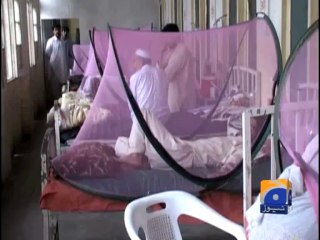 Dengue outbreak in Swat-25 Aug 2013