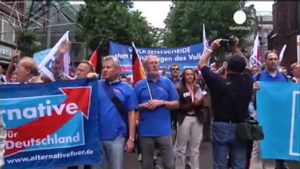 Leader of German anti-euro party attacked at election rally