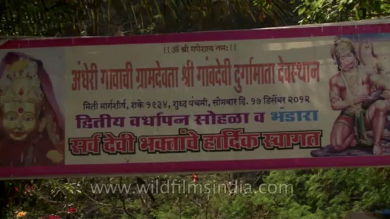 Mumbai-Ex-3-Card-5-2