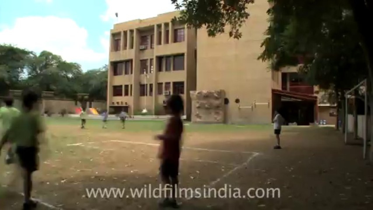 shri ram school-5