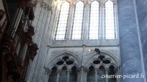 Prise de vue par un drone à la cathédrale d'Amiens