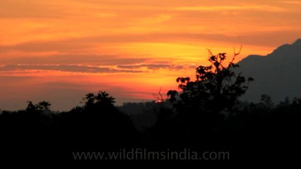 Timor-Wildlife-Landscape-10