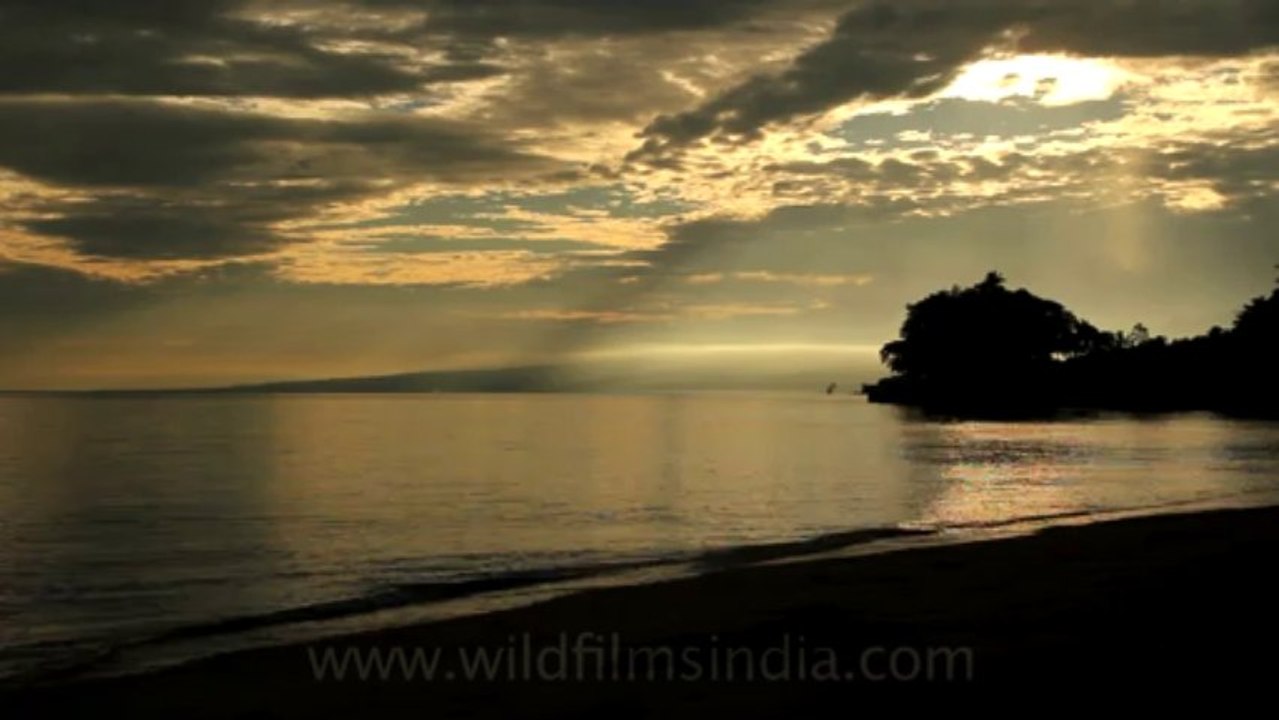 Timor-Wildlife-Landscape-4