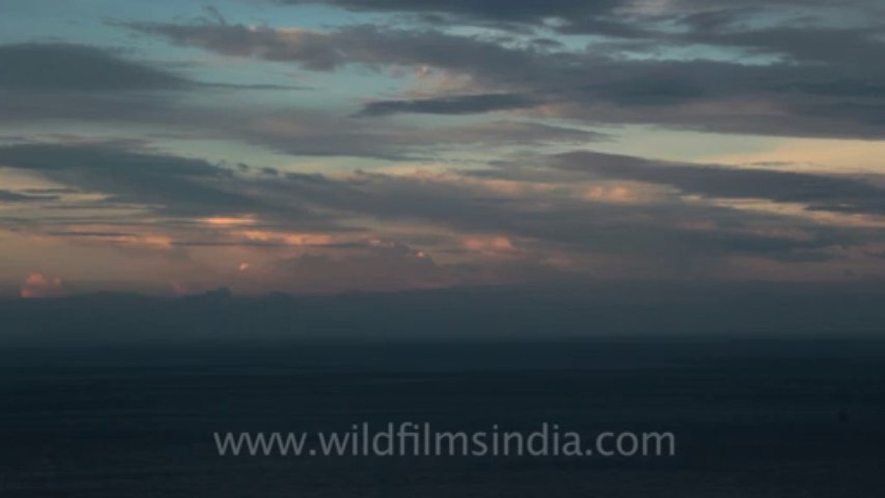 Timor-Wildlife-Landscape-6